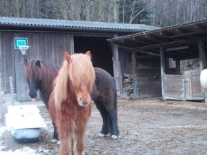 File0040