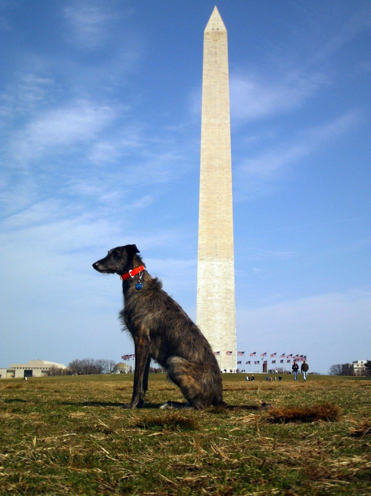 Meagan at the National Mall in Washington D.C.