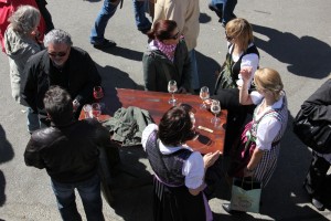 Steiermarkdorf_am_wiener_rathausplatz_201115