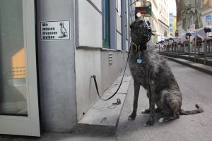 Steiermarkdorf_am_wiener_rathausplatz_201123