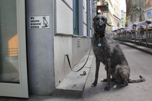 Steiermarkdorf_am_wiener_rathausplatz_201124