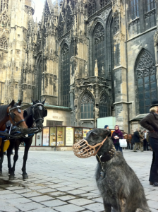 Sunday_walk_through_vienna1