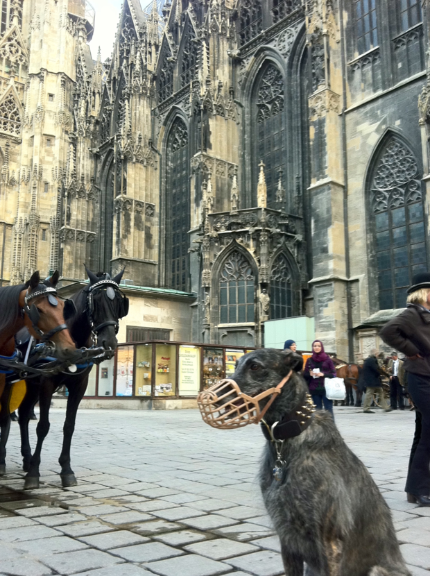 Sunday_walk_through_vienna1