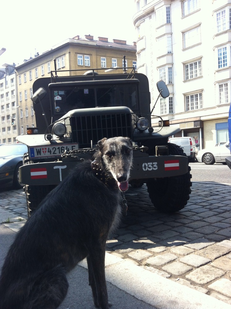 Vintage Austrian Military Truck
