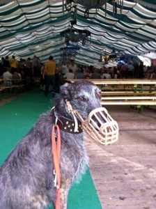 Vienna Oktoberfest Tent