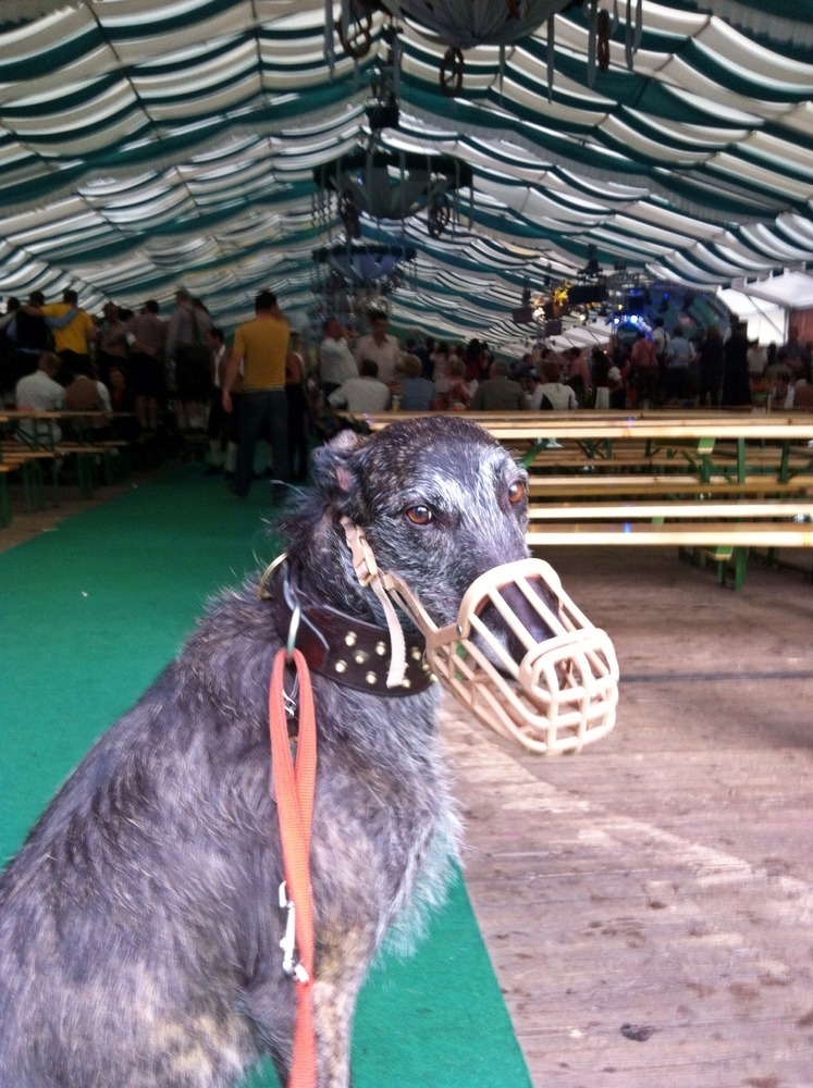 Vienna Oktoberfest Tent