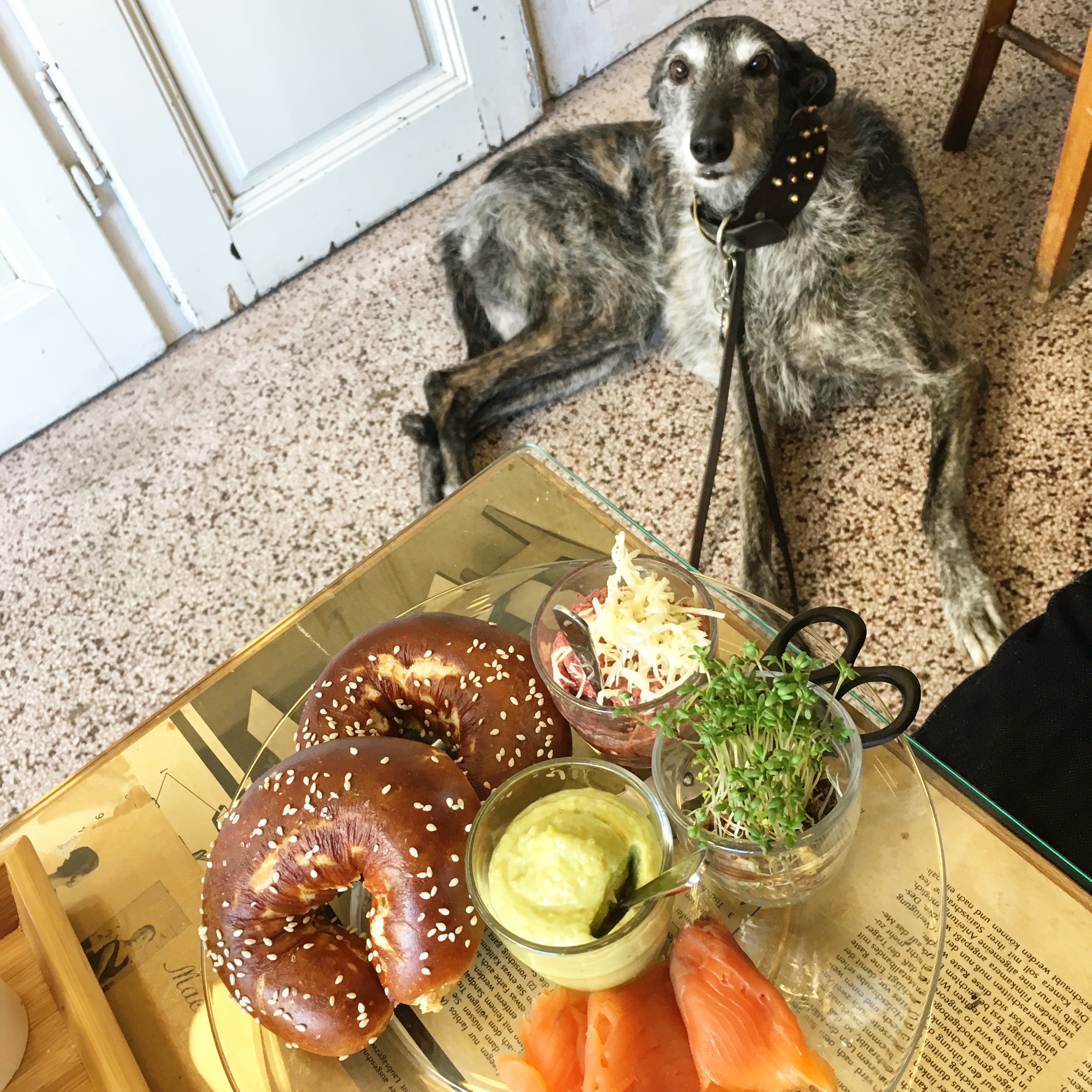 A bitch and bagels.